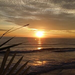 Plan Tour al Pacifico Colombiano