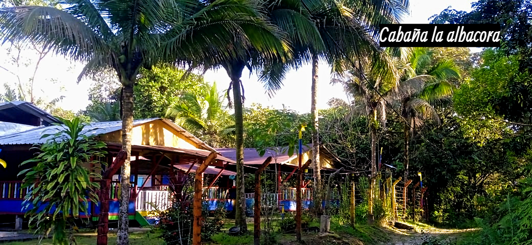 Hospedaje económico por persona Cabaña la Albacora