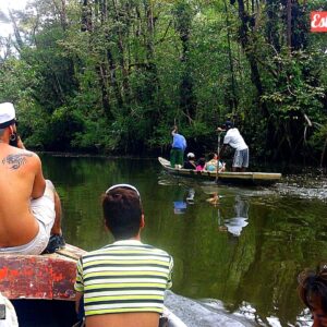 Pasadía Tour al Estero hasta piscina natural la Sardinera