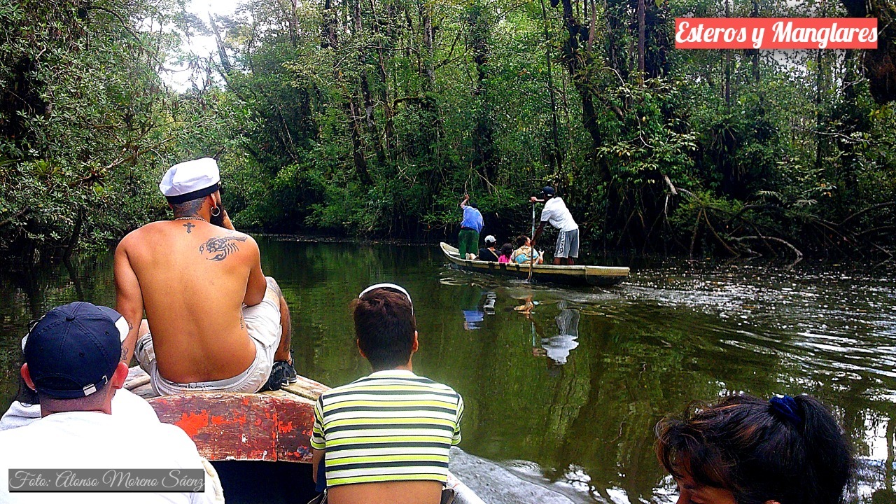 Pasadia y Tour Manglar Parque URAMBA TURISPACICO